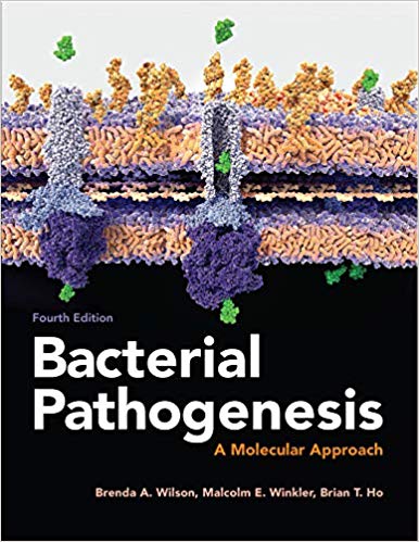 Bacterial Pathogenesis:  A Molecular Approach